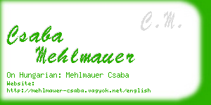 csaba mehlmauer business card